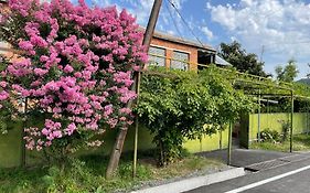Green Corner